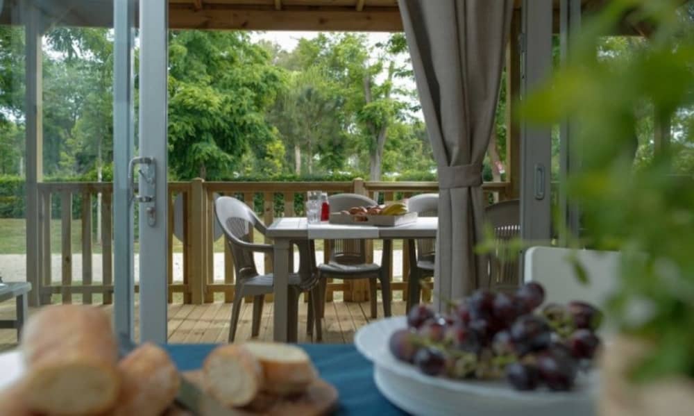 1000x600-crop-90-giotto-plus_48078626008_o