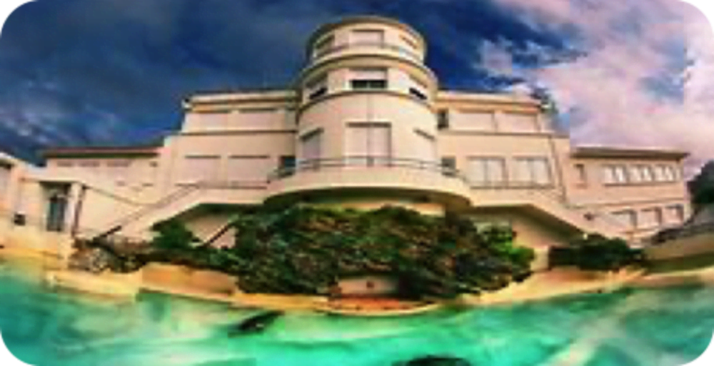 LeRuisseau-attraction5