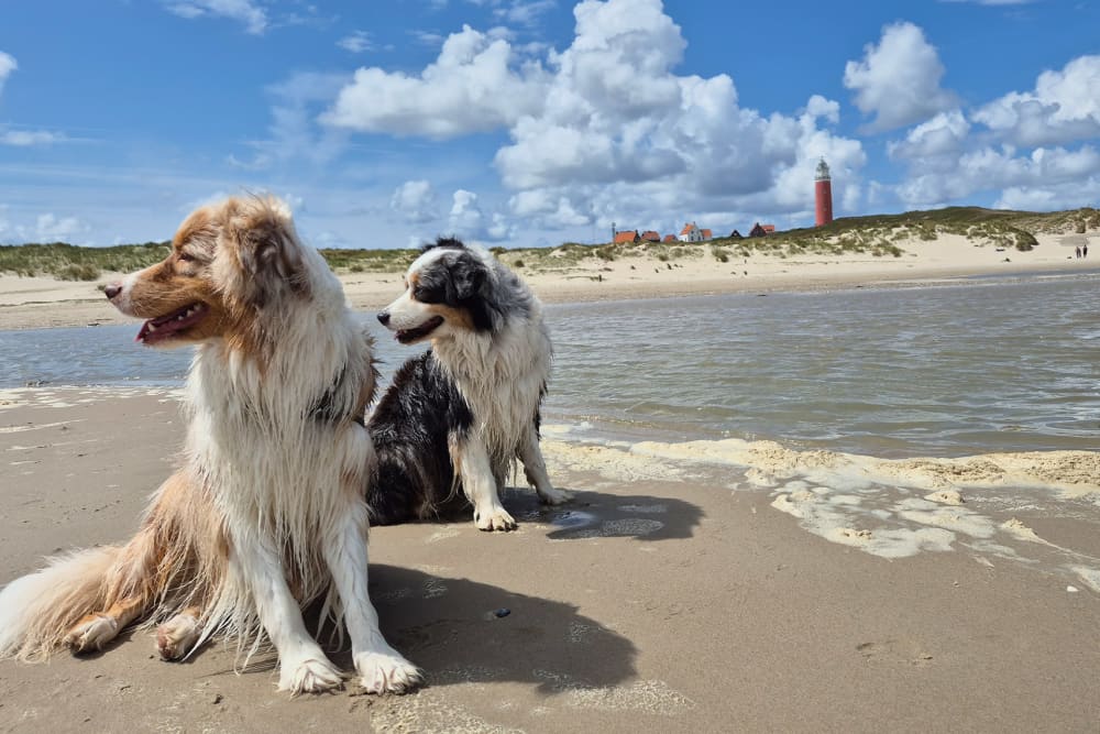 de-krim-texel-fotowedstrijd-2