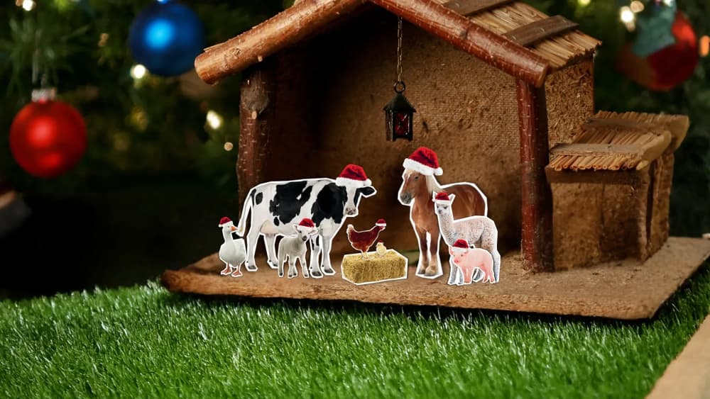 Fijne_Beestdagen_Stalletje_1920_x_1080_binnen_de_lijnen