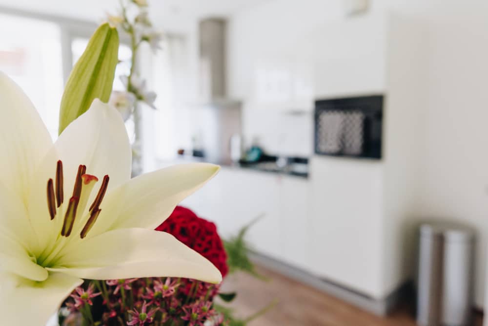 31-07-2025_corporate_housing_factory_-_Hartje_Gent_-_Eindhoven-110