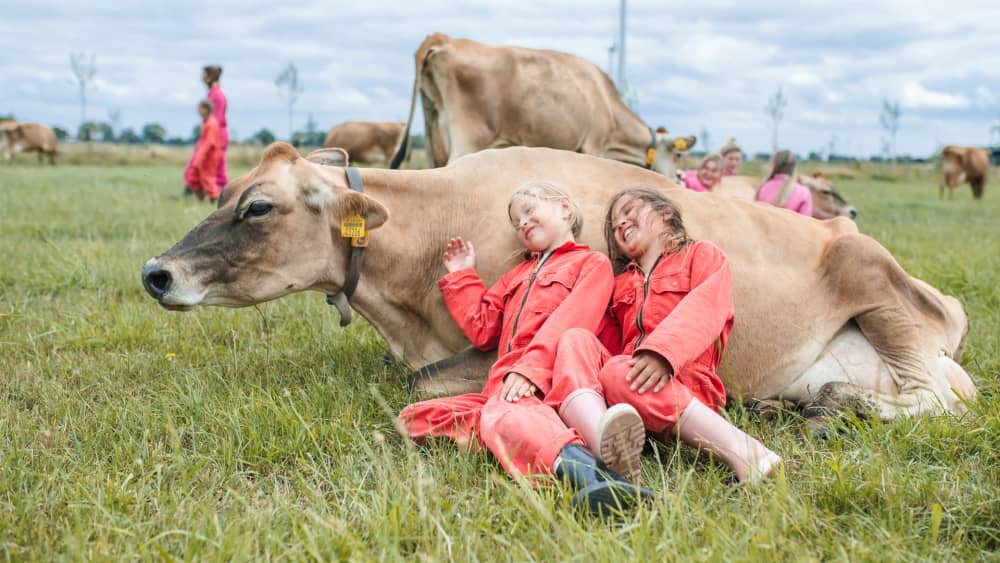 cow_van_jou_zonder_tekst
