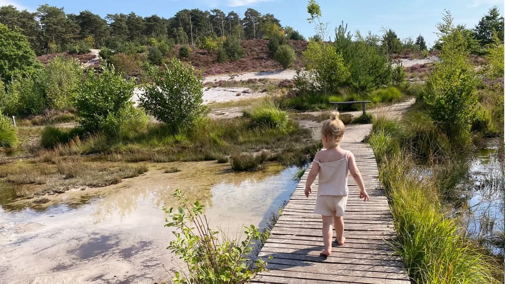 Peuter loopt over een houten vlonderpad door heide en natuurgebied vlak bij de boerderij