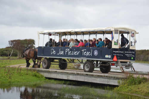 Jan Plezier Horse carriage