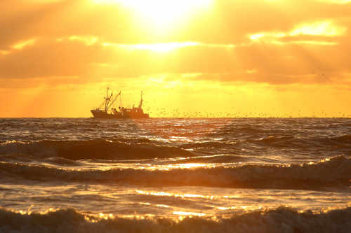 Trockenfallen im Watt