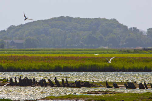 De Hoge Berg Texel