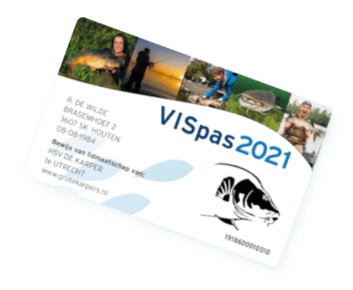 VISpas