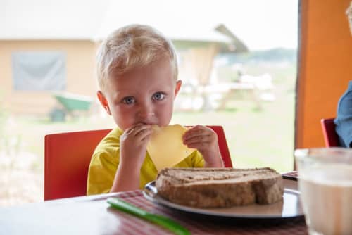 Lekker kaas eten van de kaasboerderij