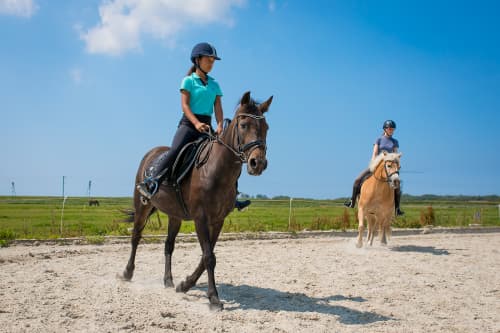 Fleur Stables