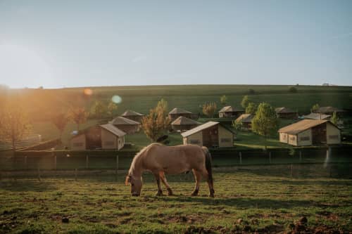 Vakantie met Paarden