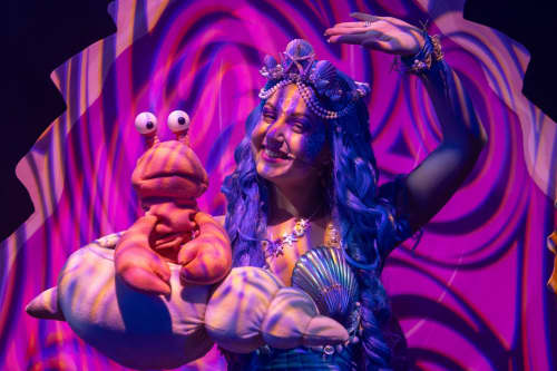 Zeemeermin show Aquatica