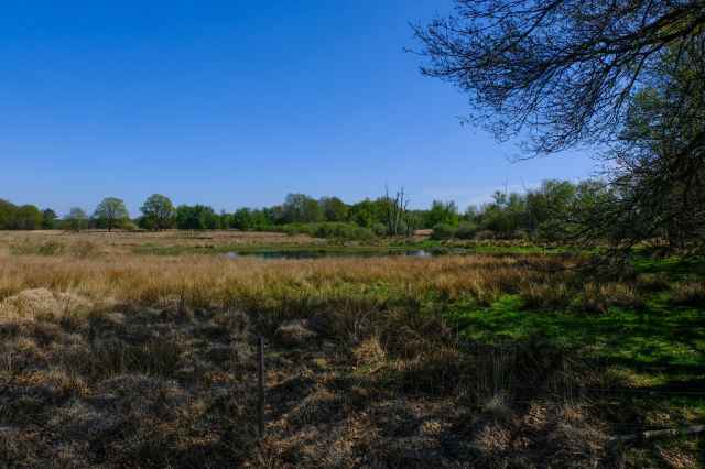 Nationaal Park Drents Friese Wold