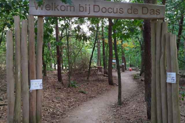 Docus de Das Adventure path