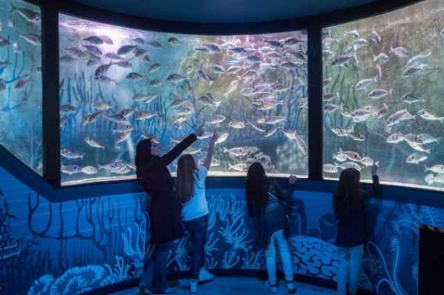 Lido di Jesolo Sea Life Aquarium