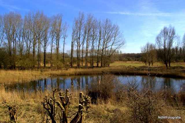 Parc naturel de Lelystad