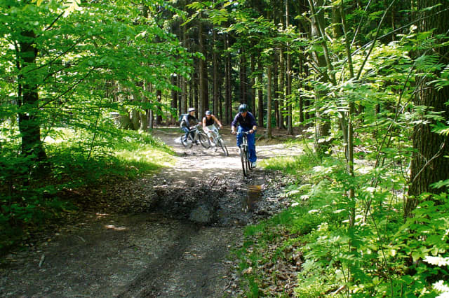Mountainbiken door de Ardennen