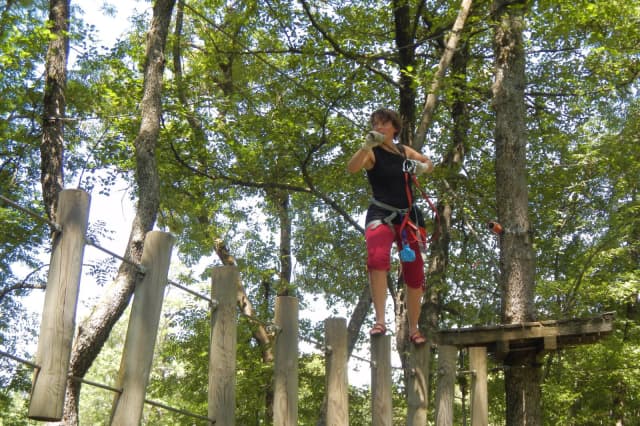 Air Park - Tree climbing