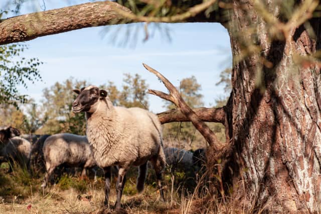Top 5 uitjes in Drenthe