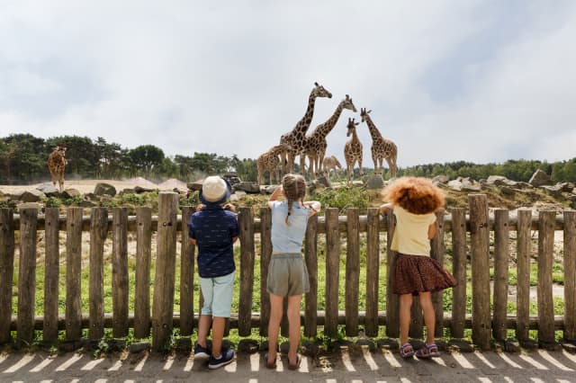 Parc safari Beekse Bergen