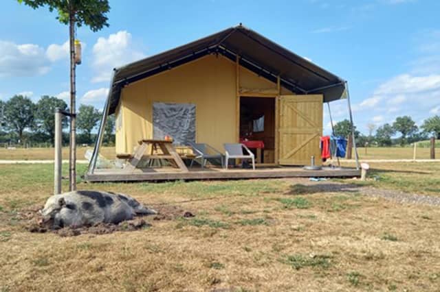 FarmCamps BoeBaDoe foto 9