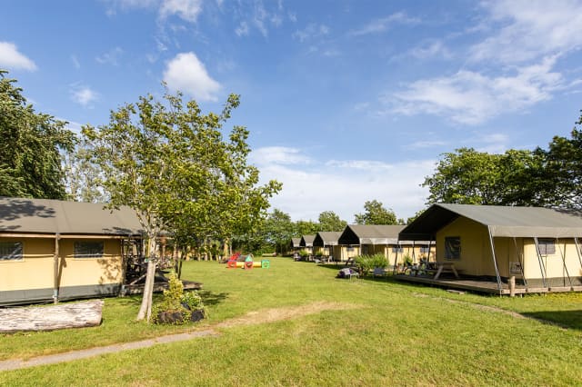 FarmCamps Five Star foto 9