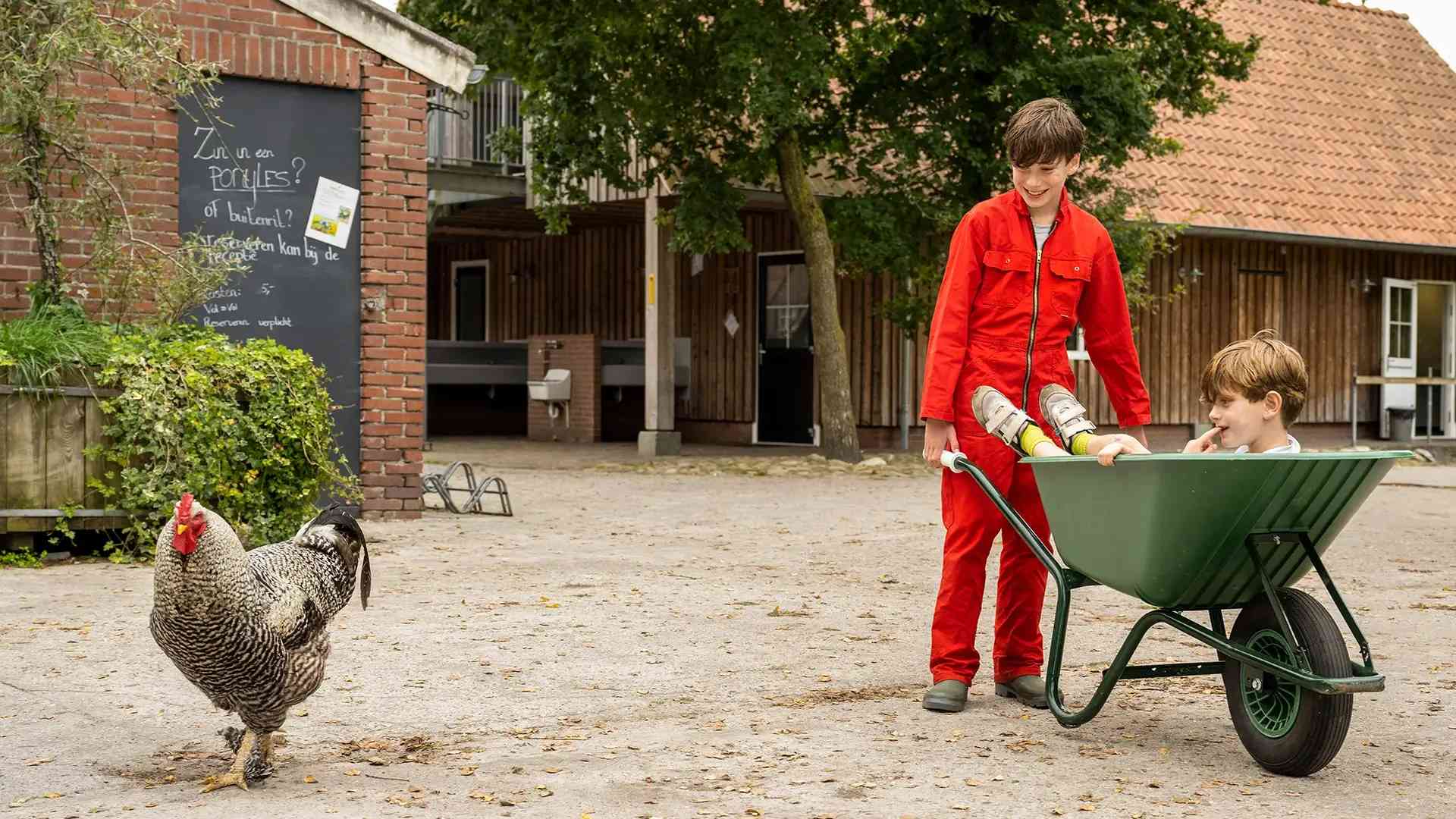 Herobeeld_geen_stress_wel_kippen