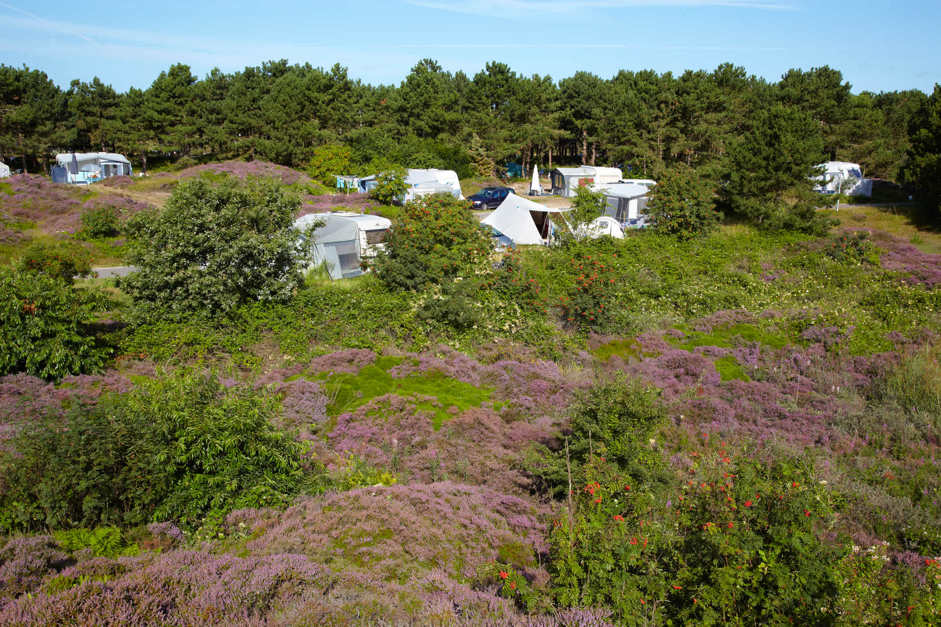 Camping Loodsmansduin, camperpitchXL, electricity