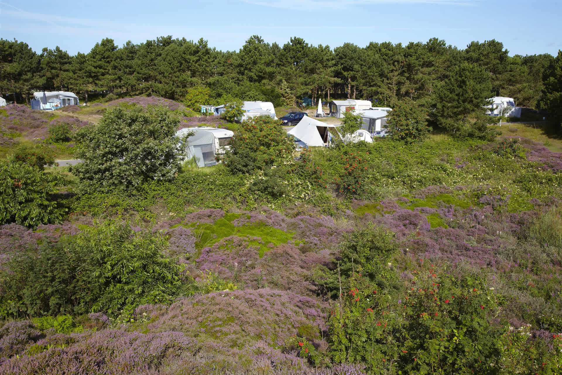 Camping Loodsmansduin, Stellplatz XL mit fließen