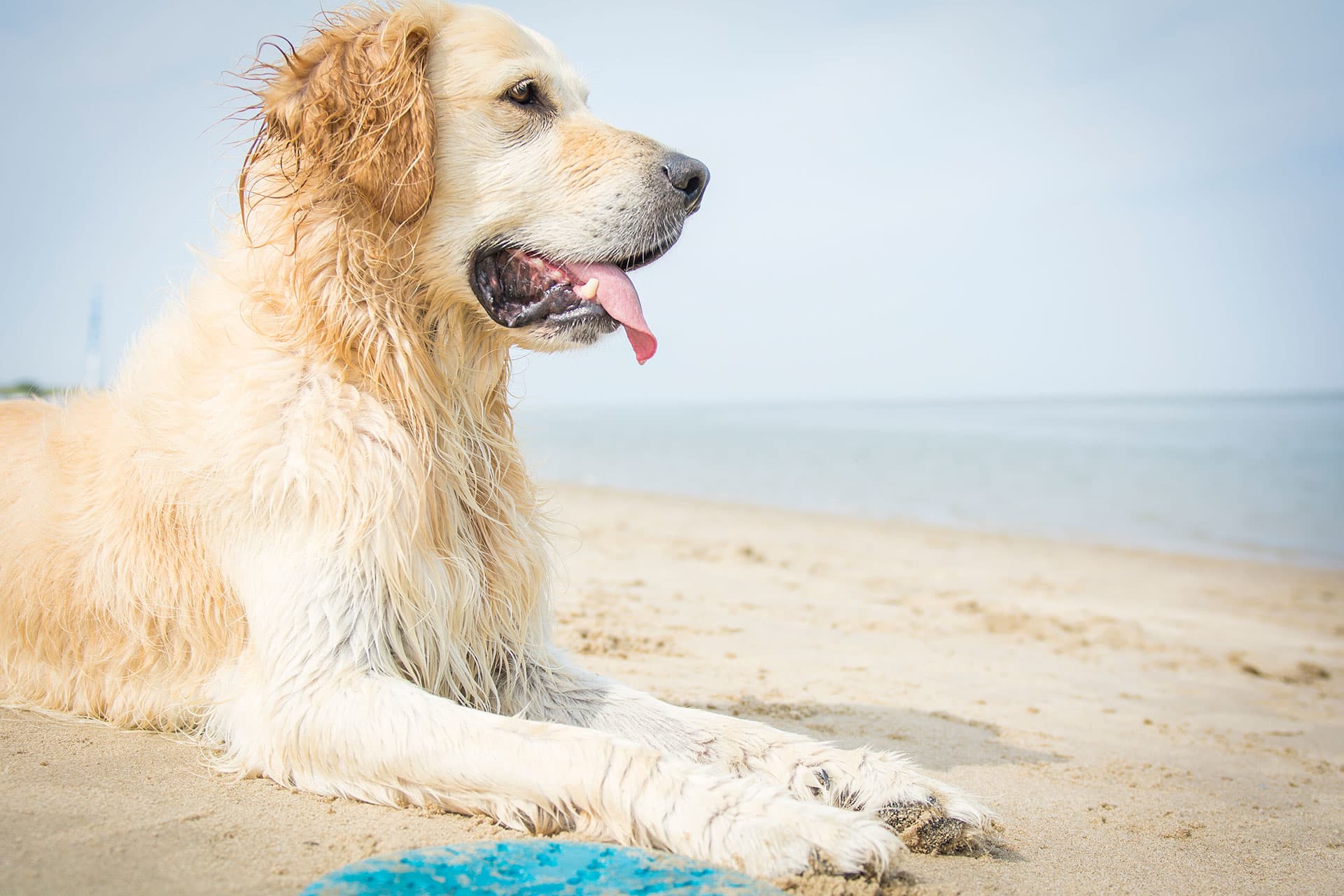 De Cocksdorp, Paal 33