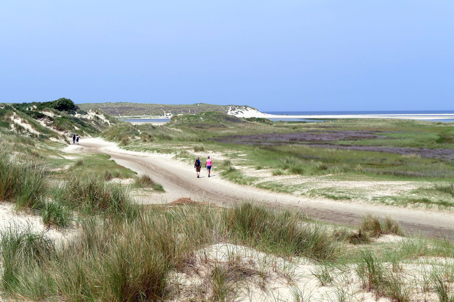 wandelen-in-de-slufter-texel-natuur