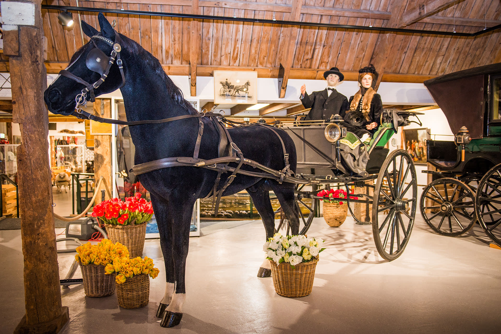 Horse and carriage, Cultuur Museum Waelstee