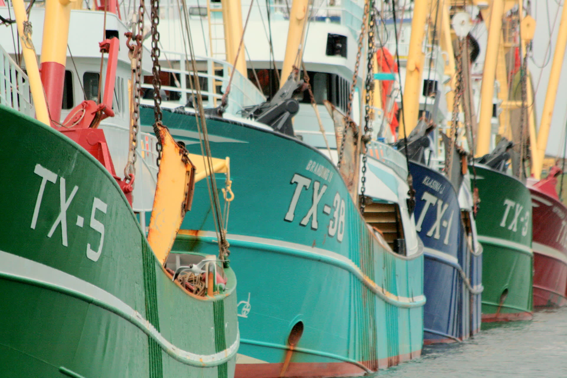 Ontdek wat er te allemaal te doen is in Oudeschild