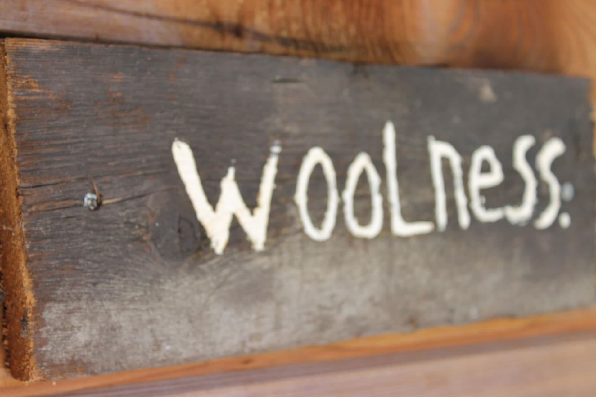 Woolness | A Texeltip of De Krim Texel