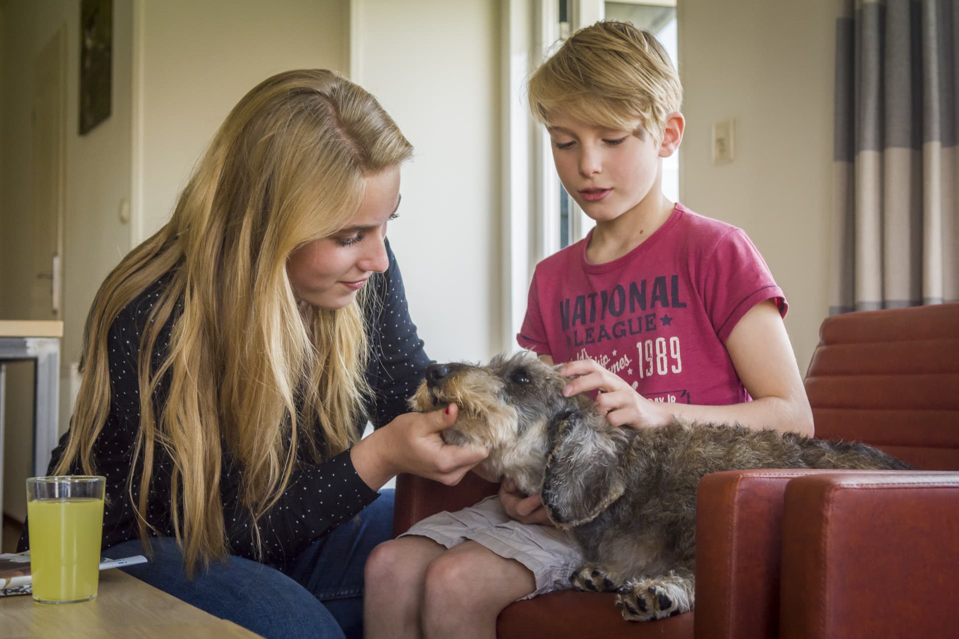 De_krim_Chalets_herfst_20©StefanKrofft2017