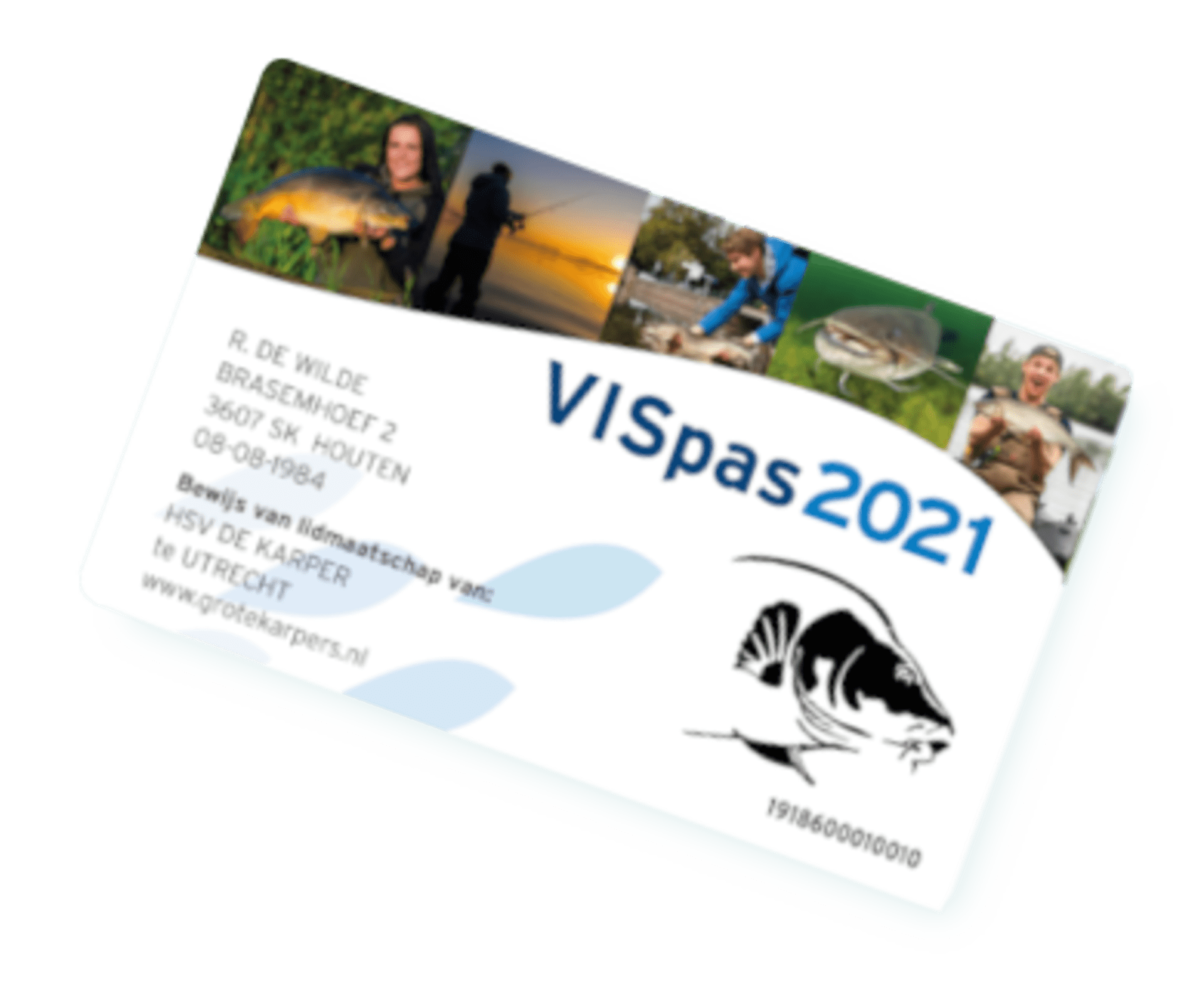 vispas-2021