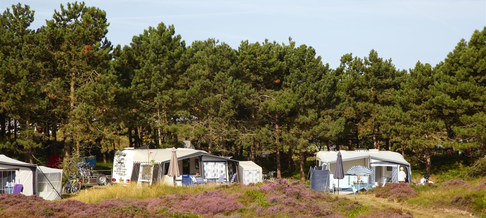 Header_Kampeerplaats_Camping_Loodsmansduin