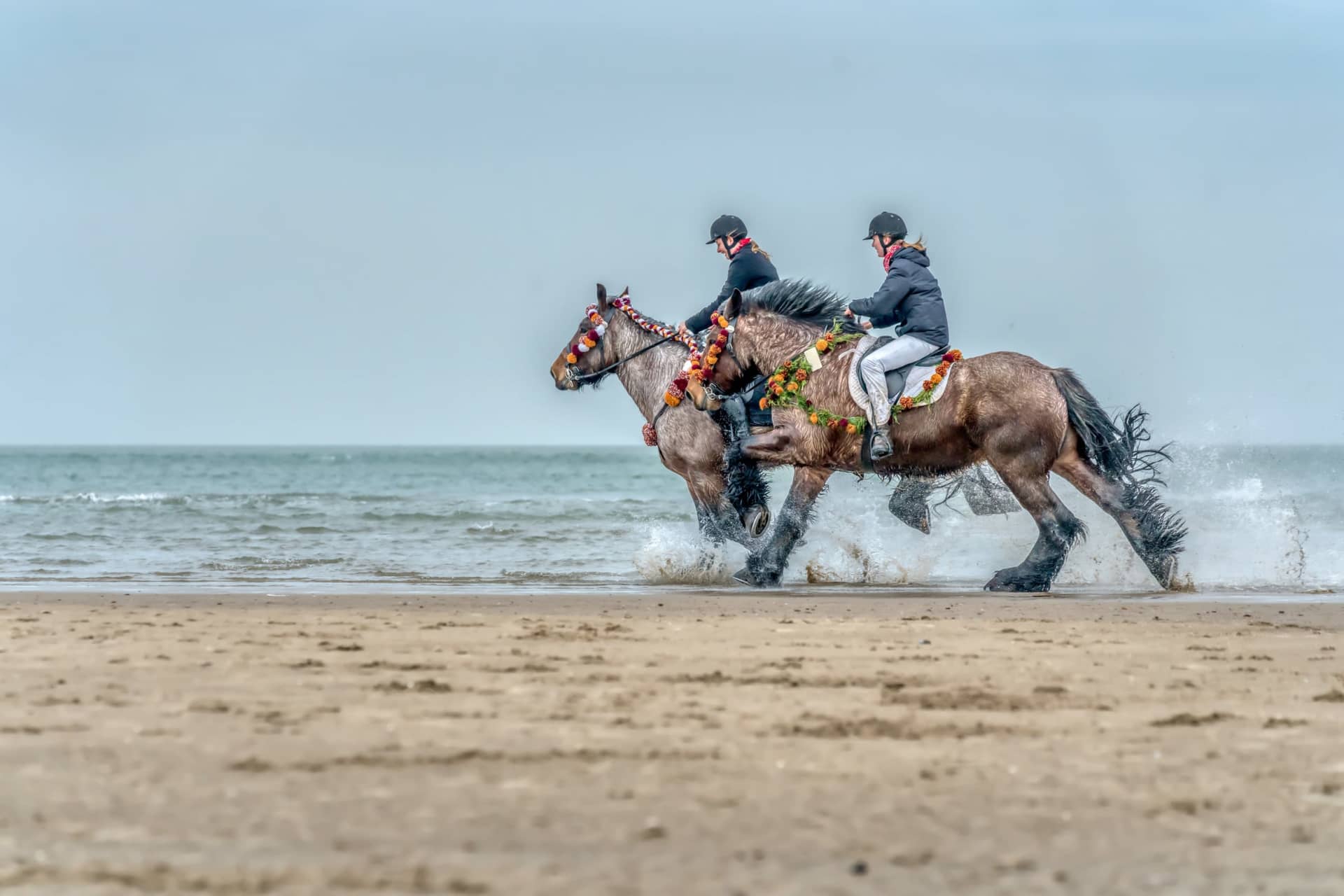 Foto_header_praktisch_evenementen