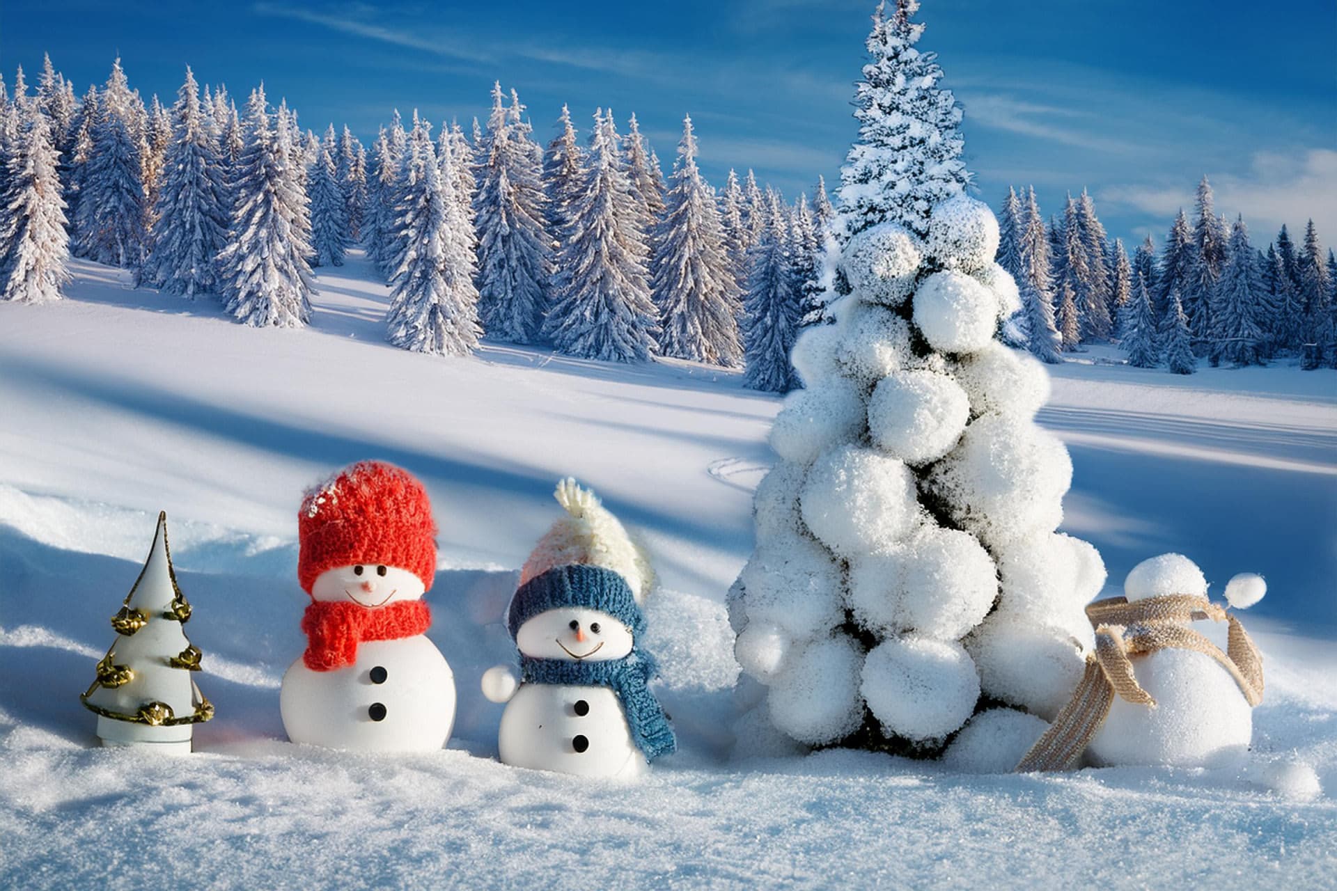Winter-wonderland-kerstfeest2