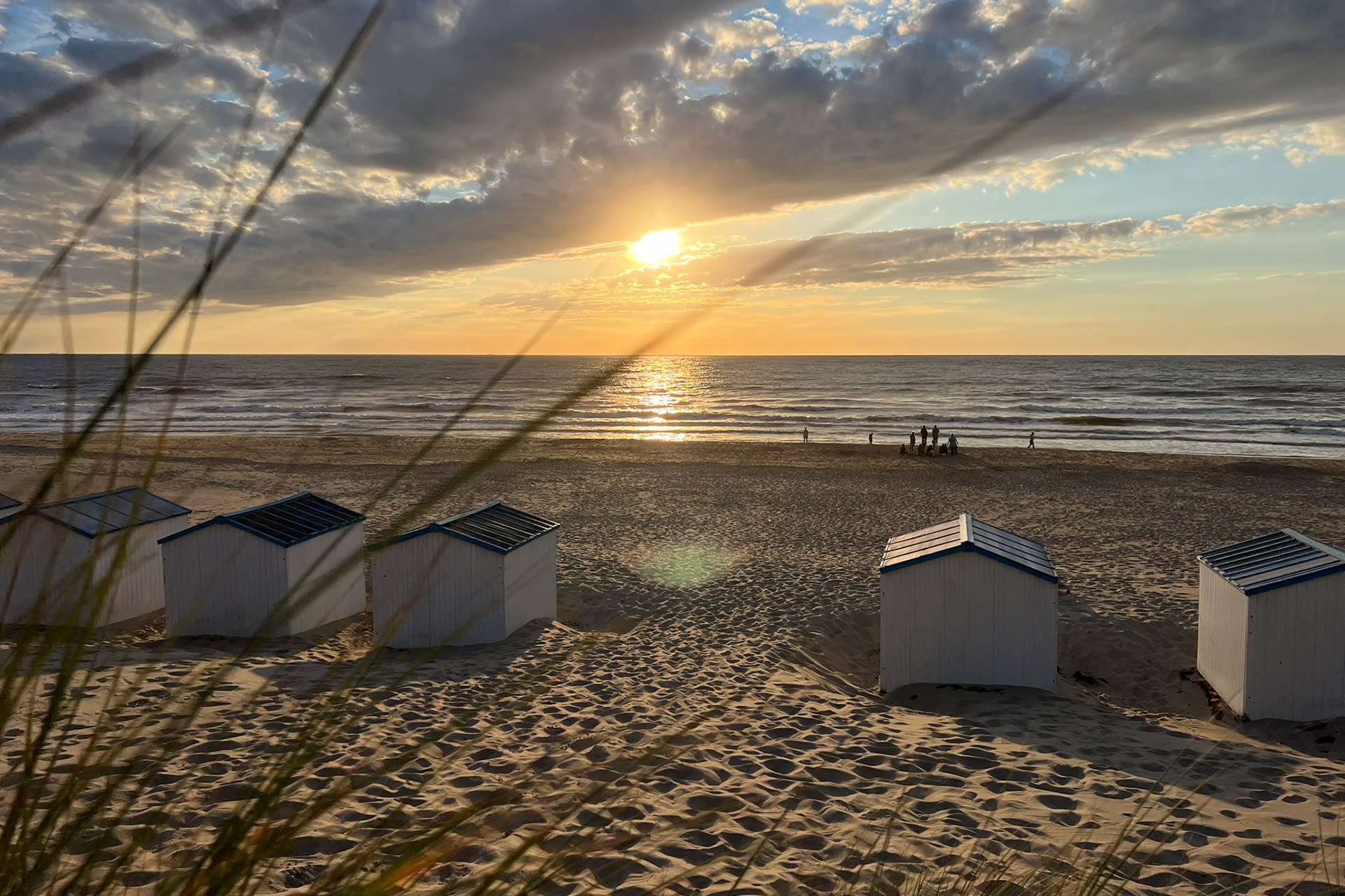 fotowedstrijd-2024-5