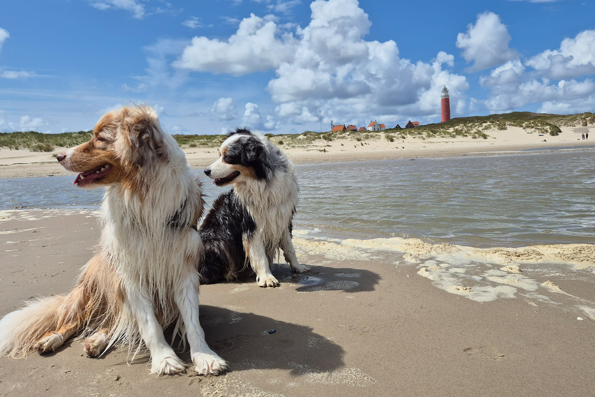 de-krim-texel-fotowedstrijd-2