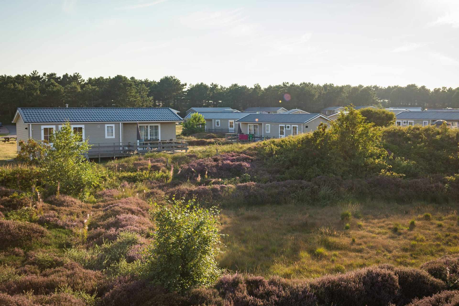 Camping Loodsmansduin, chalet De Hors,