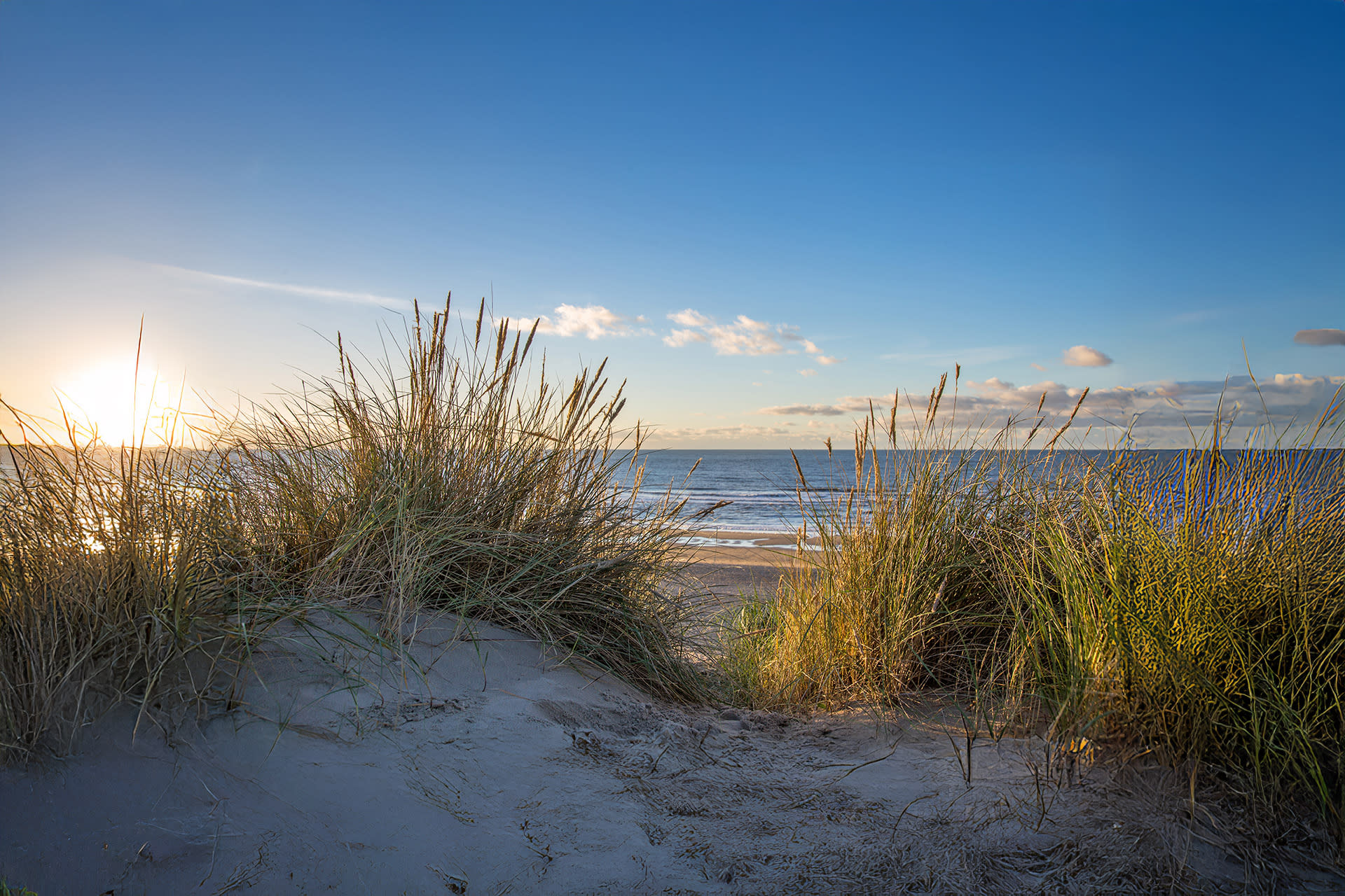 strand-duinen-texel-de-krim-texel