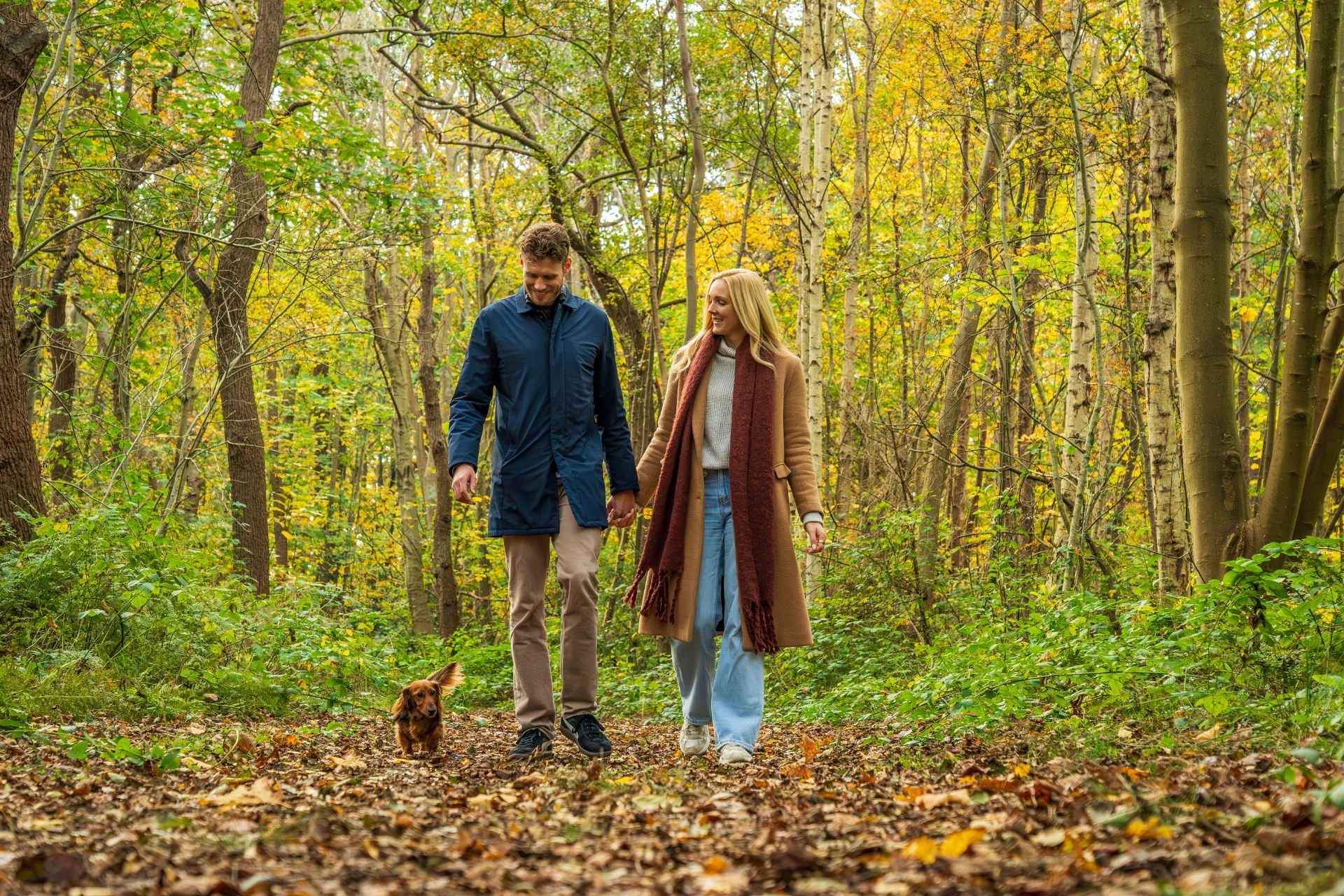 Walking in the woods