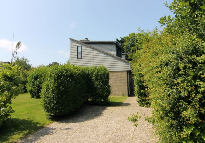 Ferienhaus in De Cocksdorp (Niederlande) und 2 Hunde erlaubt