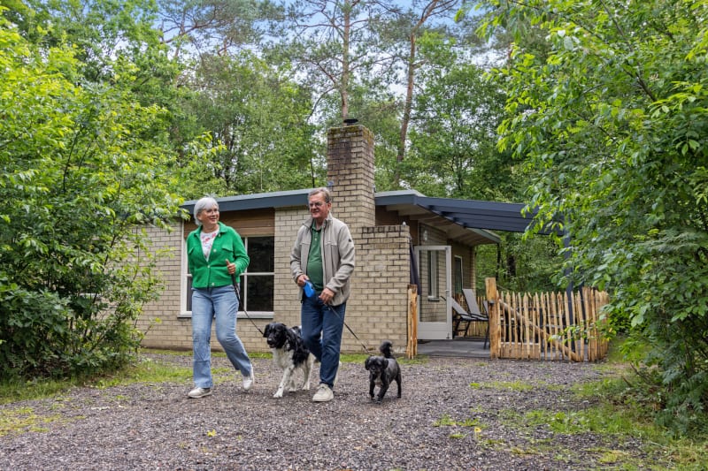 Bungalow Pluto in Dwingeloo