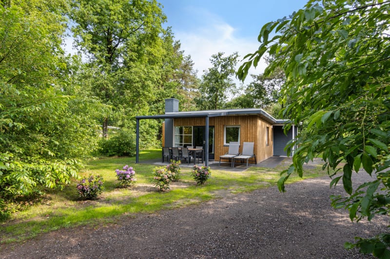Bungalow Saturnus Deluxe in Dwingeloo
