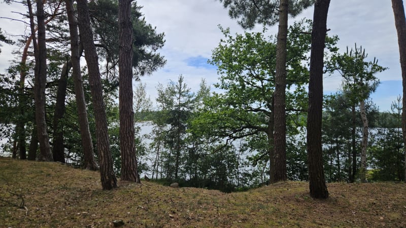 Tourist pitch/Camping pitch