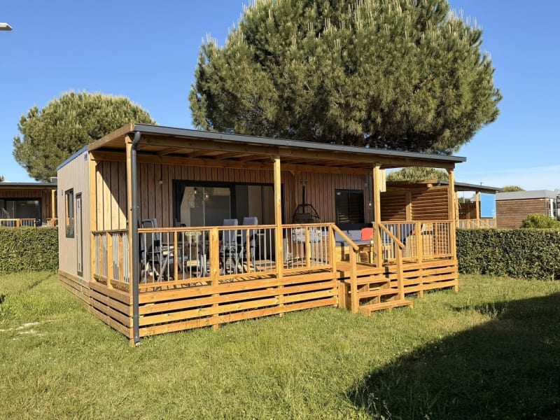 Estivo Premium Deluxe