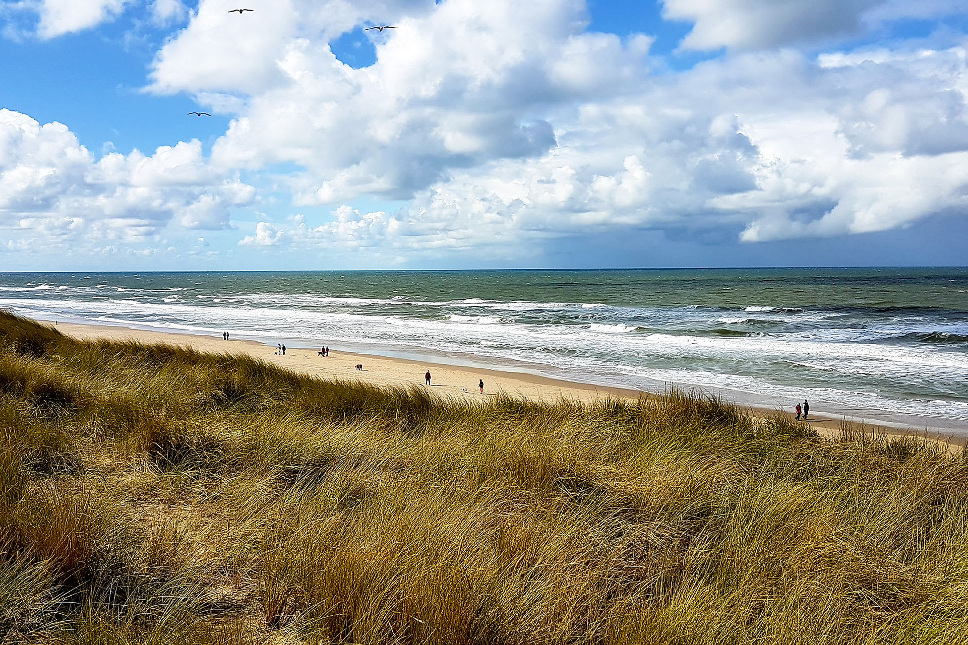 10 Reasons To Visit Texel In 2019 De Krim Texel