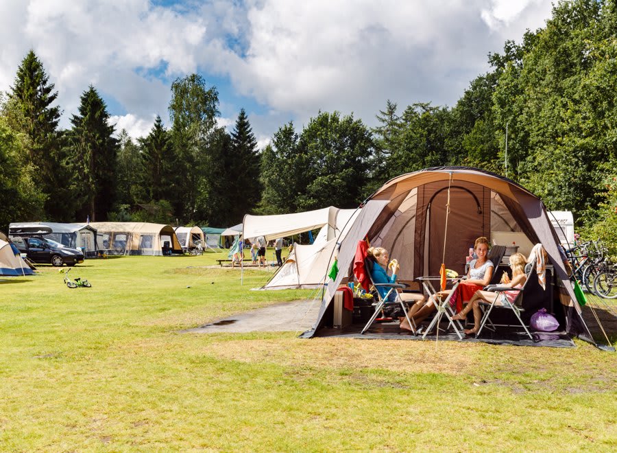 camping RCN de Roggeberg | Kampeerplaats